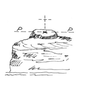 232061 - NIDO PASSERI