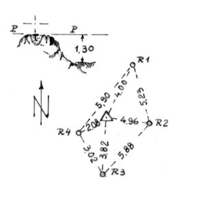 233203 - MONTE NARCAO
