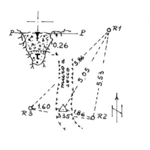 233227 - PUNTA IS CODIS