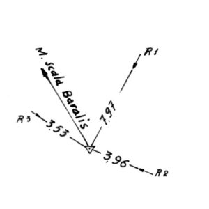 234094 - ARCU SA STRIA