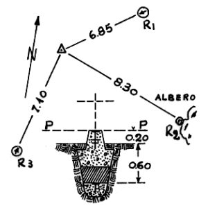 236028 - COZZO SAN LORENZO