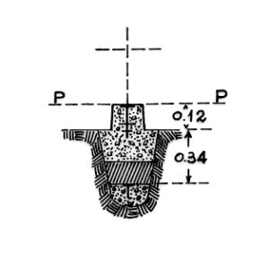 236070 - COZZO VOLANTE