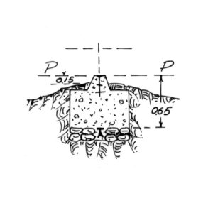 237124 - SERRA DI MOLA