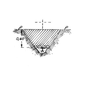 237126 - REGIONE MARRIO