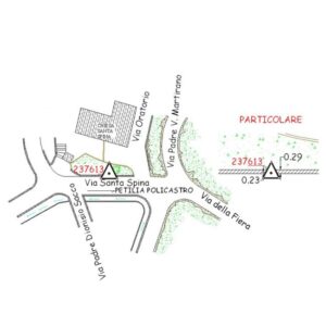 237613 - PETILIA POLICASTRO