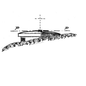239002 - GUARDIA BUE
