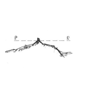 241144 - TORRE SANTA IRENE