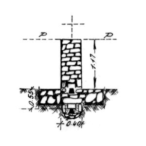 246010 - LA CRISTA DI GALLO