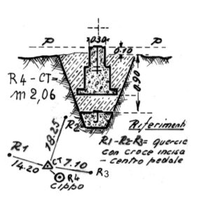 246042 - REGIONE SELVAGGIO