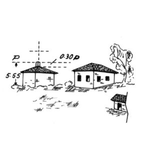 246095 - BOSCO SELVAGGIO