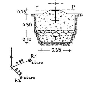 246151 - REGIONE BASIA
