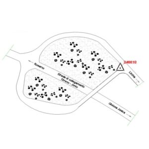 246610 - CINQUEFRONDI