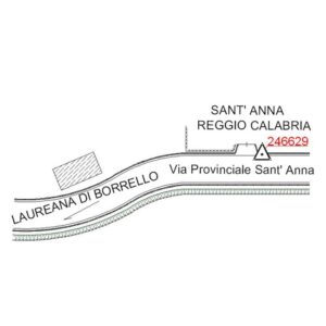 246629 - LAUREANA DI BORRELLO