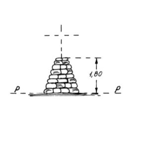 249013 - COZZO DI LUPO