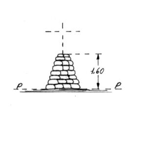 249134 - COZZO POMARA