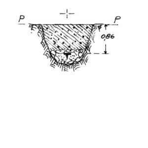 254238 - REGIONE FORNARA