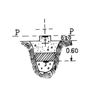 255005 - MONTE SCIFA
