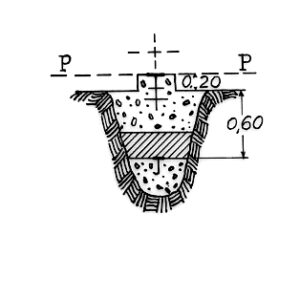 255009 - MONTE SCAPPARONE