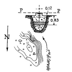 255031 - LIGONIA CARELLA
