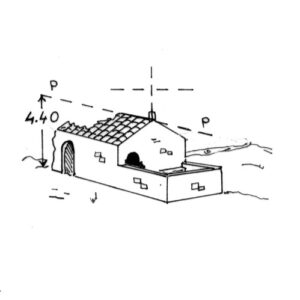 257036 - CALAMITA  VECCHIA