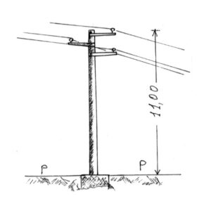 258161 - COZZO DI LEPRE