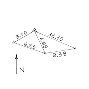 258164 - CARRUBA NUOVA