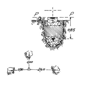 264008 - SERRA CASTIGLIA