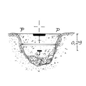 265111 - SERRONE CIPOLLAZZO