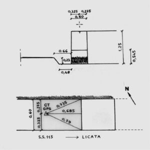 271701 - PALMA DI MONTECHIARO