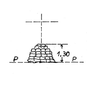 274018 - COZZO OGLIASTRI