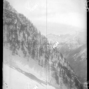 Staz.142^: Alpi Graje - La Bocconere - LN00018106
