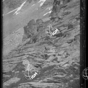 Staz.52^: Dalla Rossa Morta: Vallone di Piantonetto - LN00008335