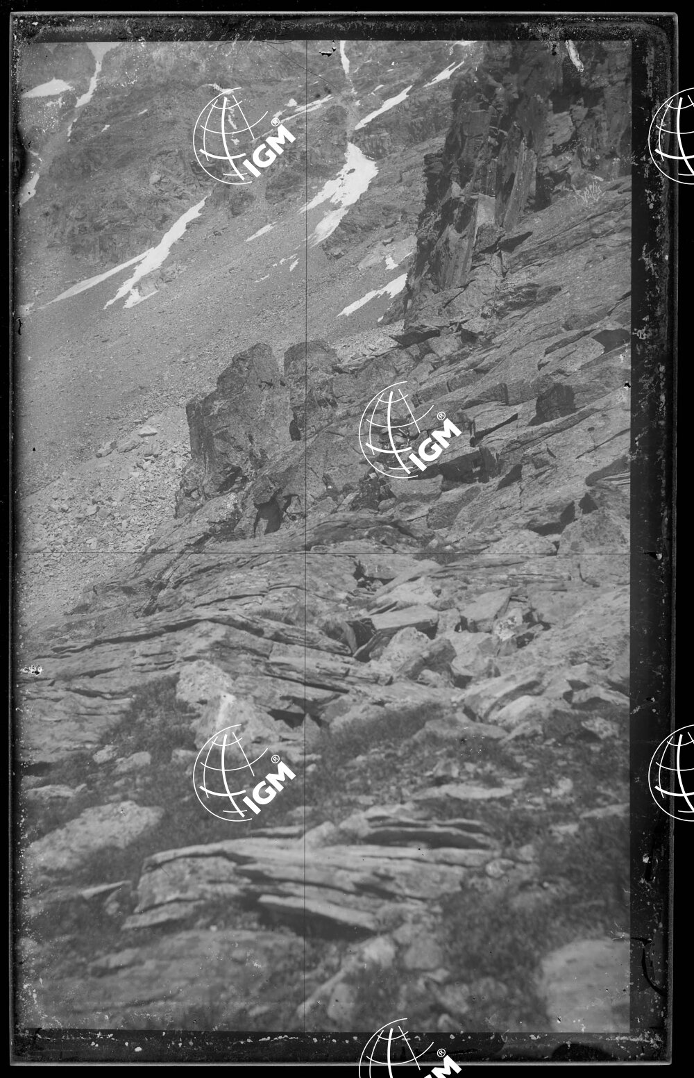 Staz.52^: Dalla Rossa Morta: Vallone di Piantonetto - LN00008335