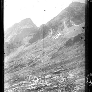 Staz.54^: Sul M.te Torrazzo (V.ne di Piantonetto) - LN00008351