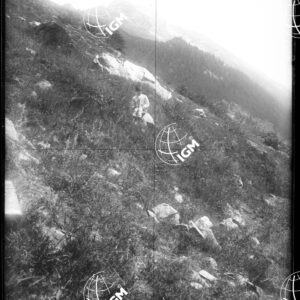 Staz.85^: Valsavaranche Sud (Alpi Graie) - LN00008580