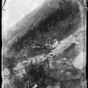 Staz.85^: Valsavaranche Sud (Alpi Graie) - LN00008585