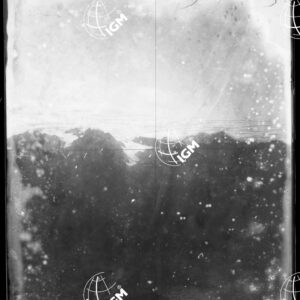Staz.87^: Morena di Lavetian - LN00008593