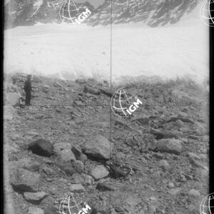 Staz.87^: Morena di Lavetian - LN00008598