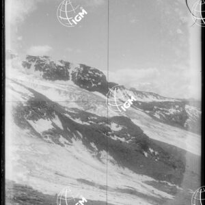 Staz.87^: Morena di Lavetian - LN00008601