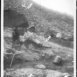 Staz.92^: alla Croce della Rouley - LN00008637