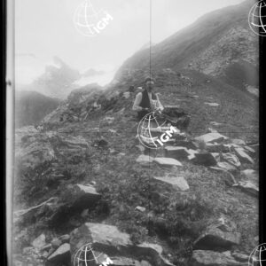 Staz.93^: Leviona - LN00008655