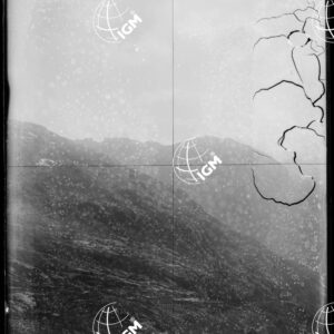 Staz.94^: Montandaine - LN00008659