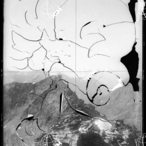 Staz.95^: Punta Erbetet - LN00008674