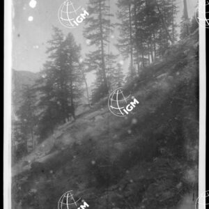 Staz.97^: Sulla Costa Loisettes = Vallone Di Valsavaranche - LN00008692