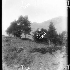 Staz.119^: Truc D'Arbè - LN00008823