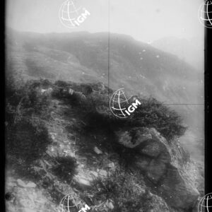 Staz.120^: Ozein - LN00008826