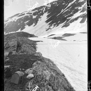 Staz.31^: Passo del Baldiscio - LN00018163