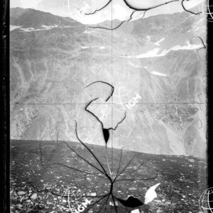 Staz.41^: Sui Monti della Scaletta - LN00018248