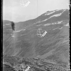 Staz.42^: Sui Monti del Mezzo Vallone - LN00018256