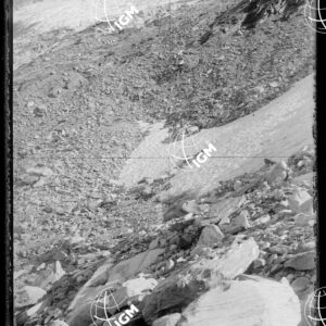 Staz.44^: Sulla Morena del Ghiacciaio - LN00018274